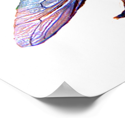 ウマエ ポスター (角)