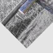 ウマサドルオンコラルフェンスウェスタン 薄葉紙 (詳細)