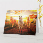 ウマズアットサンセット装飾用クッション カード (黄色い花)