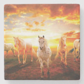 ウマズアットサンセット装飾用クッション ストーンコースター (正面)