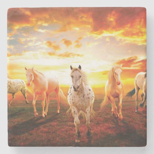 ウマズアットサンセット装飾用クッション ストーンコースター (正面)