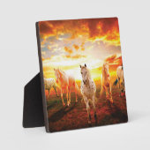 ウマズアットサンセット装飾用クッション フォトプラーク (正面)