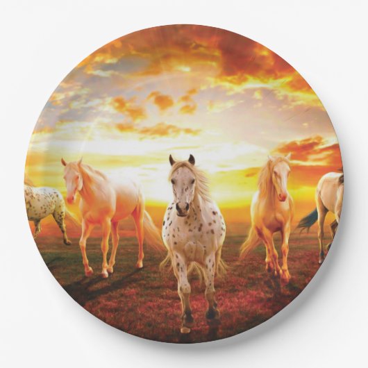 ウマズアットサンセット装飾用クッション ペーパープレート (正面)