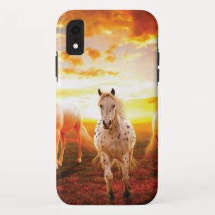 ウマズアットサンセット装飾用クッション iPhone XRケース