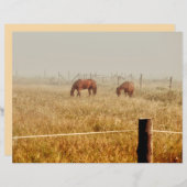 ウマズカントリーファーム素朴ブラウンデクページ (正面/裏面)