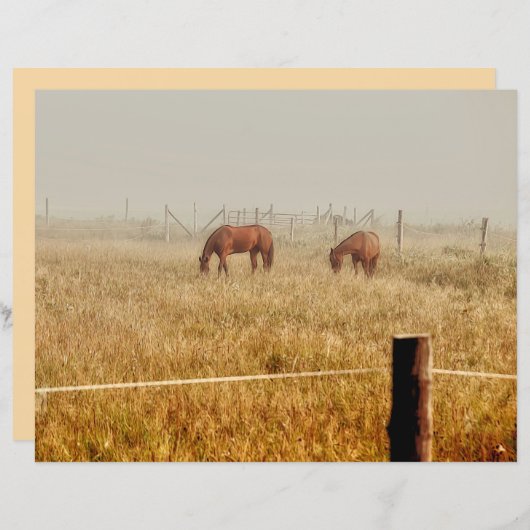 ウマズカントリーファーム素朴ブラウンデクページ (正面/裏面)