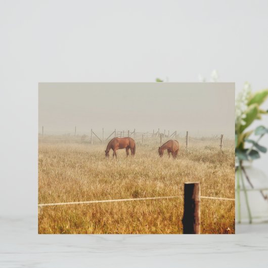 ウマズカントリーファーム素朴ブラウンデクページ (スタンド正面)