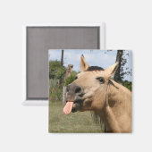 ウマズラ マグネット (正面/裏面)