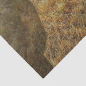 ウマティッシュペーパー 薄葉紙 (詳細)