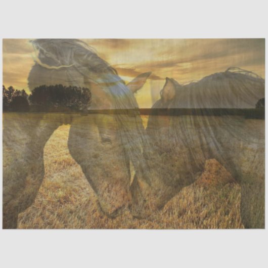 ウマティッシュペーパー 薄葉紙 (正面)