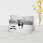 ウマブラックアンドホワイトスノーフォト誕生日 カード (黄色い花)
