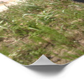 ウマポスタービーチ ポスター (角)