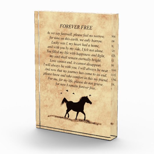 ウマメモリアルトリビュートスピリチュアル フォトブロック (右)