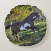 ウマランニングラン絵を描チののピント・スタリオン ラウンドクッション (正面)