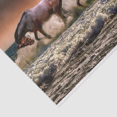 ウマランニングーズティッシュペーパー 薄葉紙 (詳細)