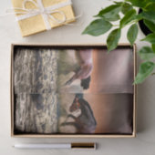 ウマランニングーズティッシュペーパー 薄葉紙 (ギフト)