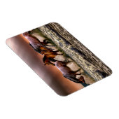 ウマランニングーズ海サーフアットサンセット マグネット (右側)