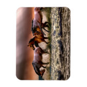 ウマランニングーズ海サーフアットサンセット マグネット (縦)