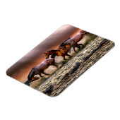 ウマランニングーズ海サーフアットサンセット マグネット (左側)