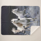 ウマランニングーズ装飾用クッション シェルパブランケット (正面(横))