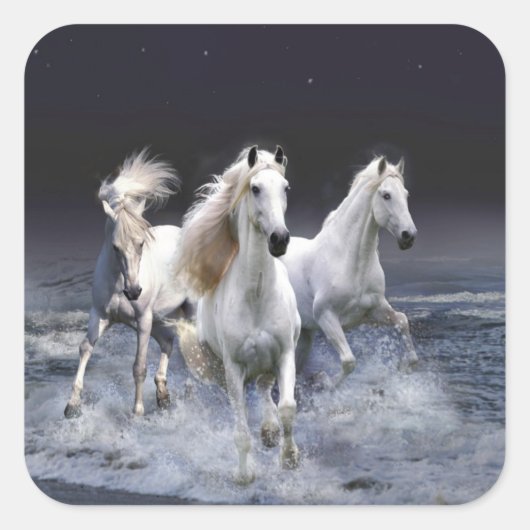 ウマランニングーズ装飾用クッション スクエアシール (正面)