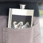 ウマランニングーズ装飾用クッション フラスク (インサイチュ)