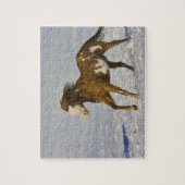 ウマランニングーズ・イン・スノー ジグソーパズル (縦)