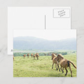 ウマランニングーズ ポストカード (正面/裏面)