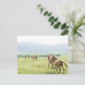 ウマランニングーズ ポストカード (スタンド正面)