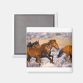 ウマランニングーズ マグネット (正面/裏面)