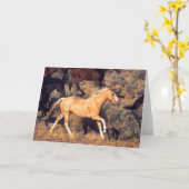 ウマランニングーズAポンデローザランチ カード (黄色い花)