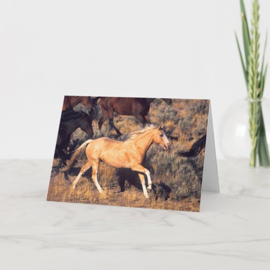 ウマランニングーズAポンデローザランチ カード (正面)