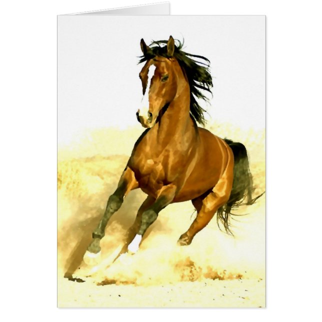 ウマランニングー (正面)