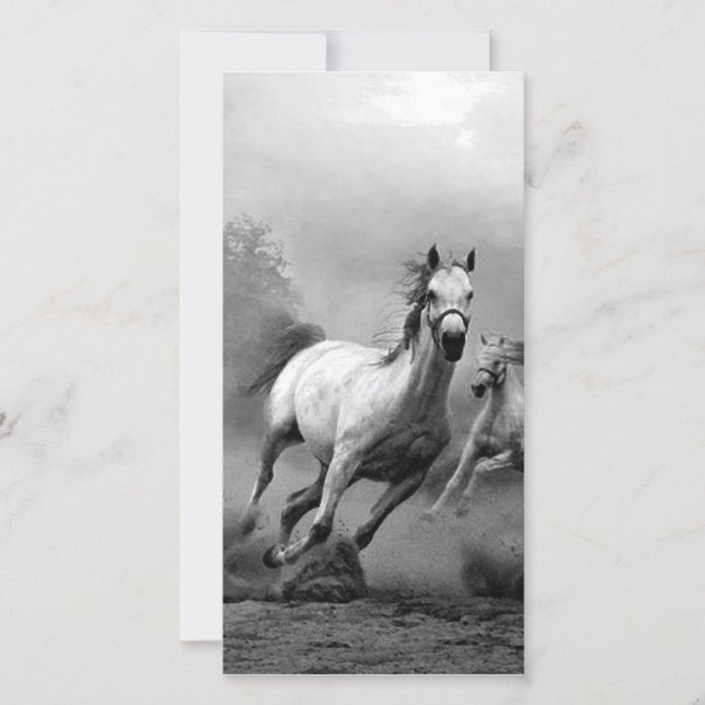 ウマランニングー (正面)