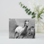 ウマランニングー シーズンポストカード (スタンド正面)