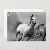 ウマランニングー シーズンポストカード (正面/裏面)