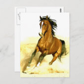 ウマランニングー ポストカード (正面/裏面)