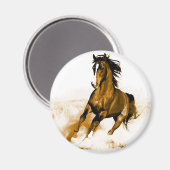 ウマランニングー マグネット (正面/裏面)