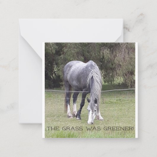 ウマン・フェンス！ポストカード ノートカード (正面)