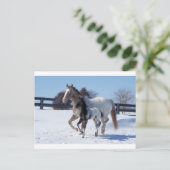 ウマースウィンタースノーススポーツカントリーファームラブ ポストカード (スタンド正面)