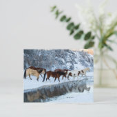 ウマーズ・クロッシング・ザ・クリーク ポストカード (スタンド正面)