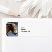 ウマーブラウン荷車を引くベルギー ラベル (インサイチュ)