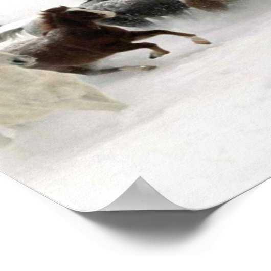 ウマ写真 ポスター (角)