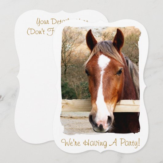 ウマ招待状 (正面/裏面)