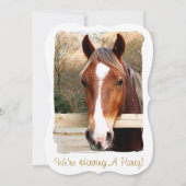 ウマ招待状 (正面)