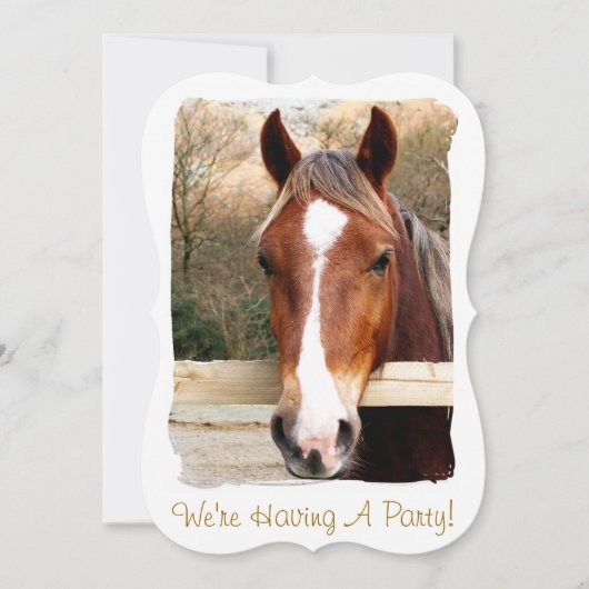 ウマ招待状 (正面)