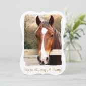 ウマ招待状 (スタンド正面)