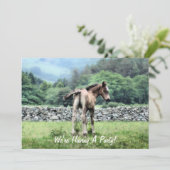 ウマ招待状 (スタンド正面)