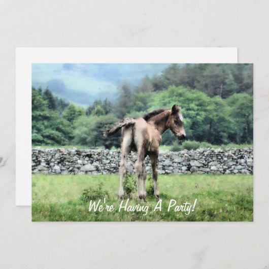 ウマ招待状 (正面/裏面)