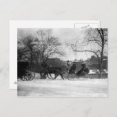 ウマ描スリーNYCはがき ポストカード (正面/裏面)